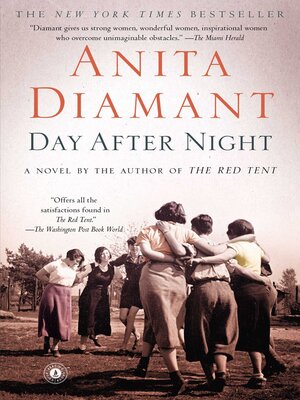 cover image of Day After Night